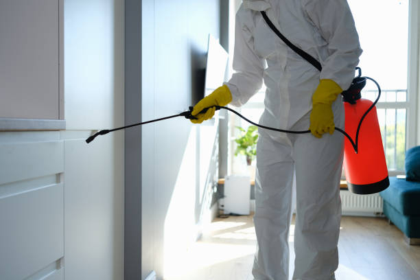 Best Mold Cleaning Services  in Le Roy, IL